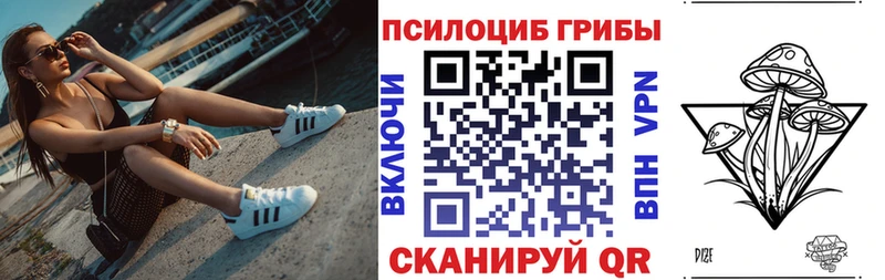 Псилоцибиновые грибы MAGIC MUSHROOMS  купить наркоту  Саяногорск 