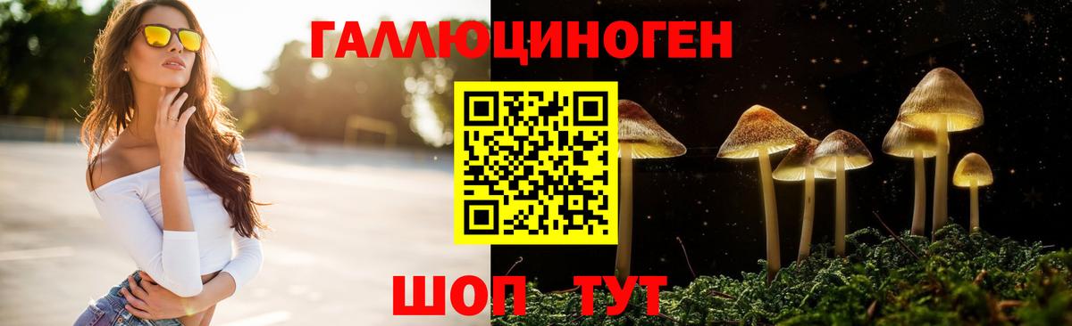 Псилоцибиновые грибы ЛСД  Псилоцибиновые грибы мухоморы  где найти наркотики  Вход с VPN  Саяногорск 
